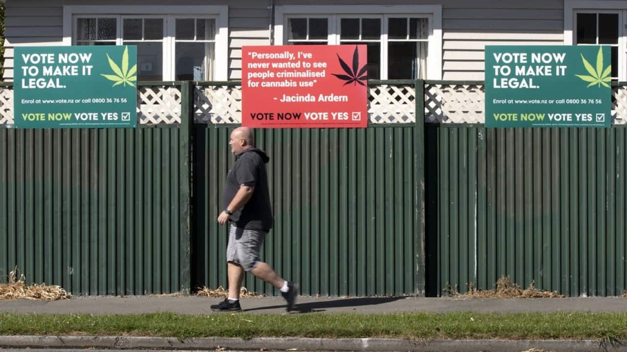 New Zealand to vote on legalising marijuana and euthanasia New Zealand to vote on legalising marijuana and euthanasia