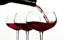 India likely to offer EU lower duties on wines, automobiles, seek data-secure nation status