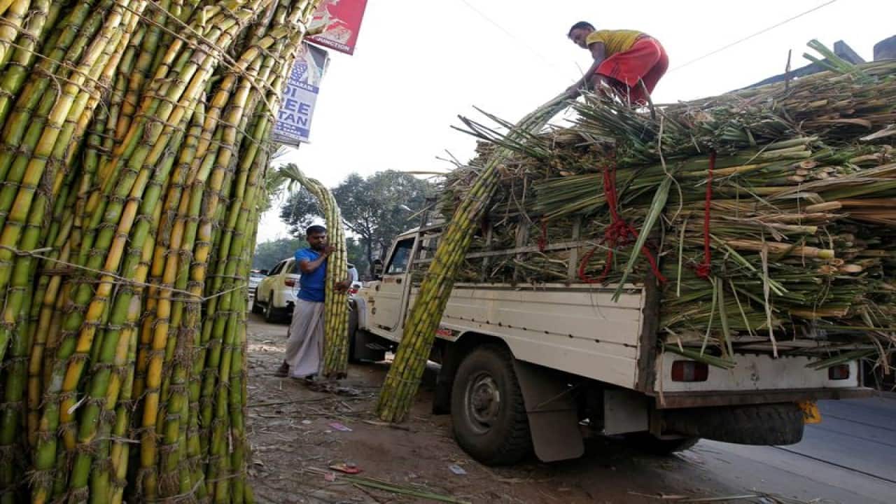 Balrampur Chini Mills: The sugar manufacturer has recorded standalone profit at Rs 69.33 crore for the quarter ended June FY24, rising 6-fold over Rs 11.6 crore profit in year-ago period, backed by healthy operating numbers. Revenue grew by 28.7% YoY to Rs 1,389.6 crore in Q1FY24, while EBITDA during the quarter jumped 267.4% to Rs 163.2 crore with margin expansion of 759 bps at 11.7% YoY. Balrampur Chini Mills: The sugar manufacturer has recorded standalone profit at Rs 69.33 crore for the quarter ended June FY24, rising 6-fold over Rs 11.6 crore profit in year-ago period, backed by healthy operating numbers. Revenue grew by 28.7% YoY to Rs 1,389.6 crore in Q1FY24, while EBITDA during the quarter jumped 267.4% to Rs 163.2 crore with margin expansion of 759 bps at 11.7% YoY.