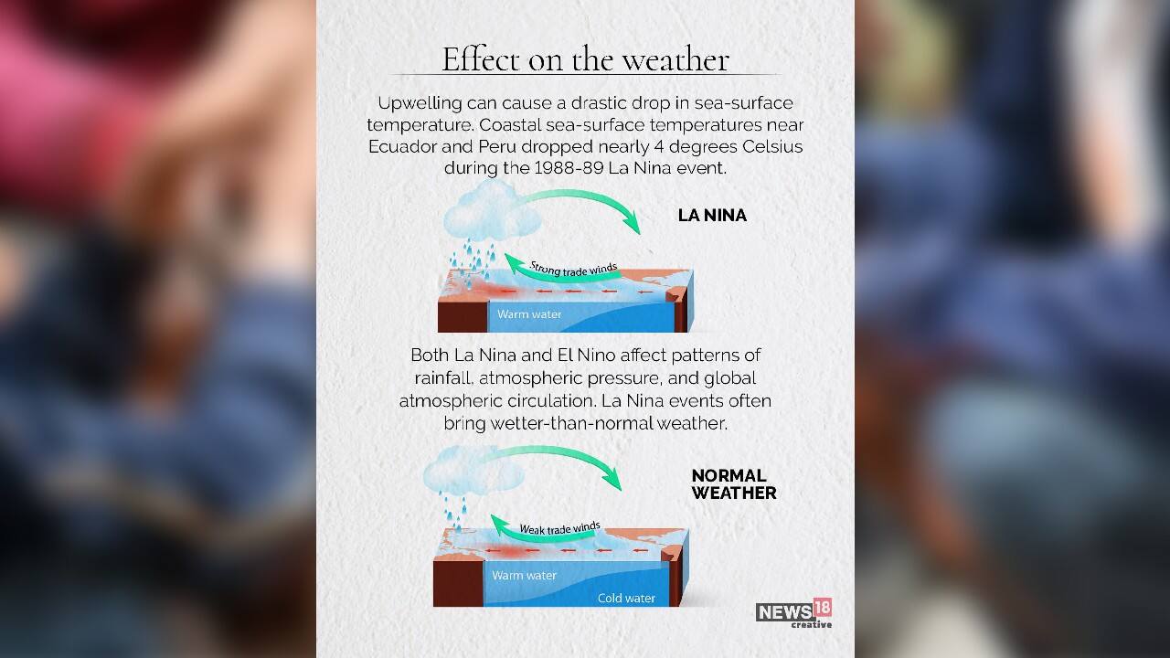 (Image: News18 Creative)