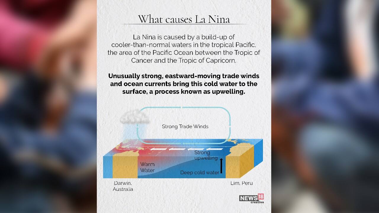 (Image: News18 Creative)