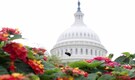 Balance of power little changed, US Congress faces new fight on budget, coronavirus