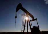 India’s oil consumption rises 4.6% in FY24 but domestic production remains steady