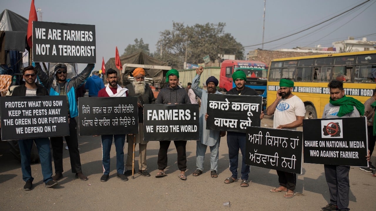 The farmers say the laws passed in September will lead the government to stop buying grain at minimum guaranteed prices and result in exploitation by corporations who will push down prices. (Image: AP)