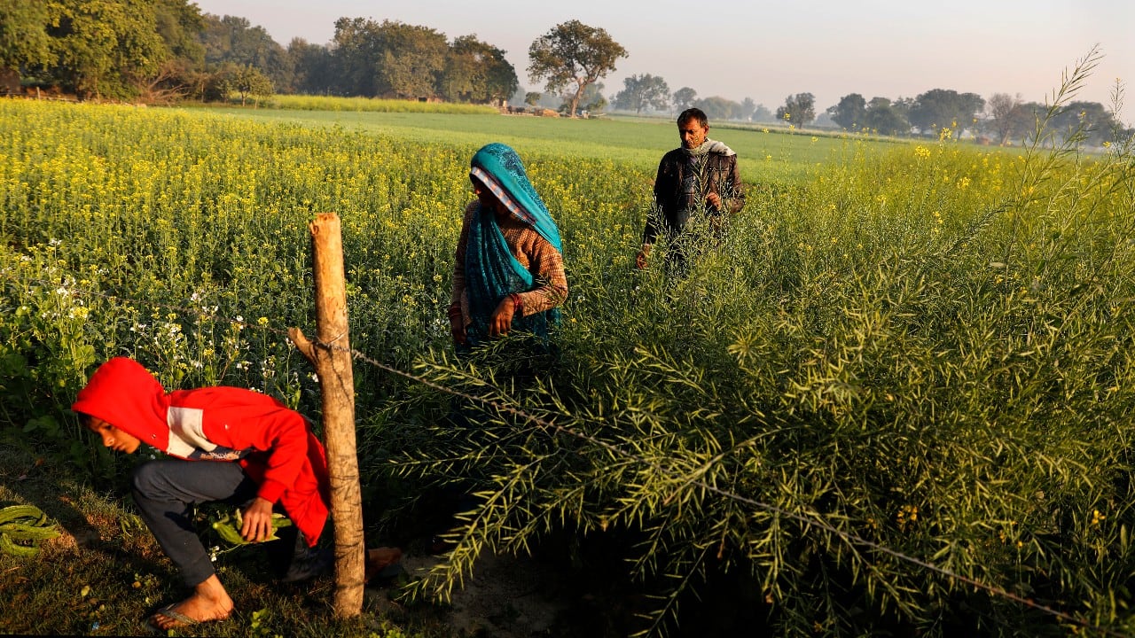 Economic Survey 2021: No fresh ideas for the livelihood or income growth