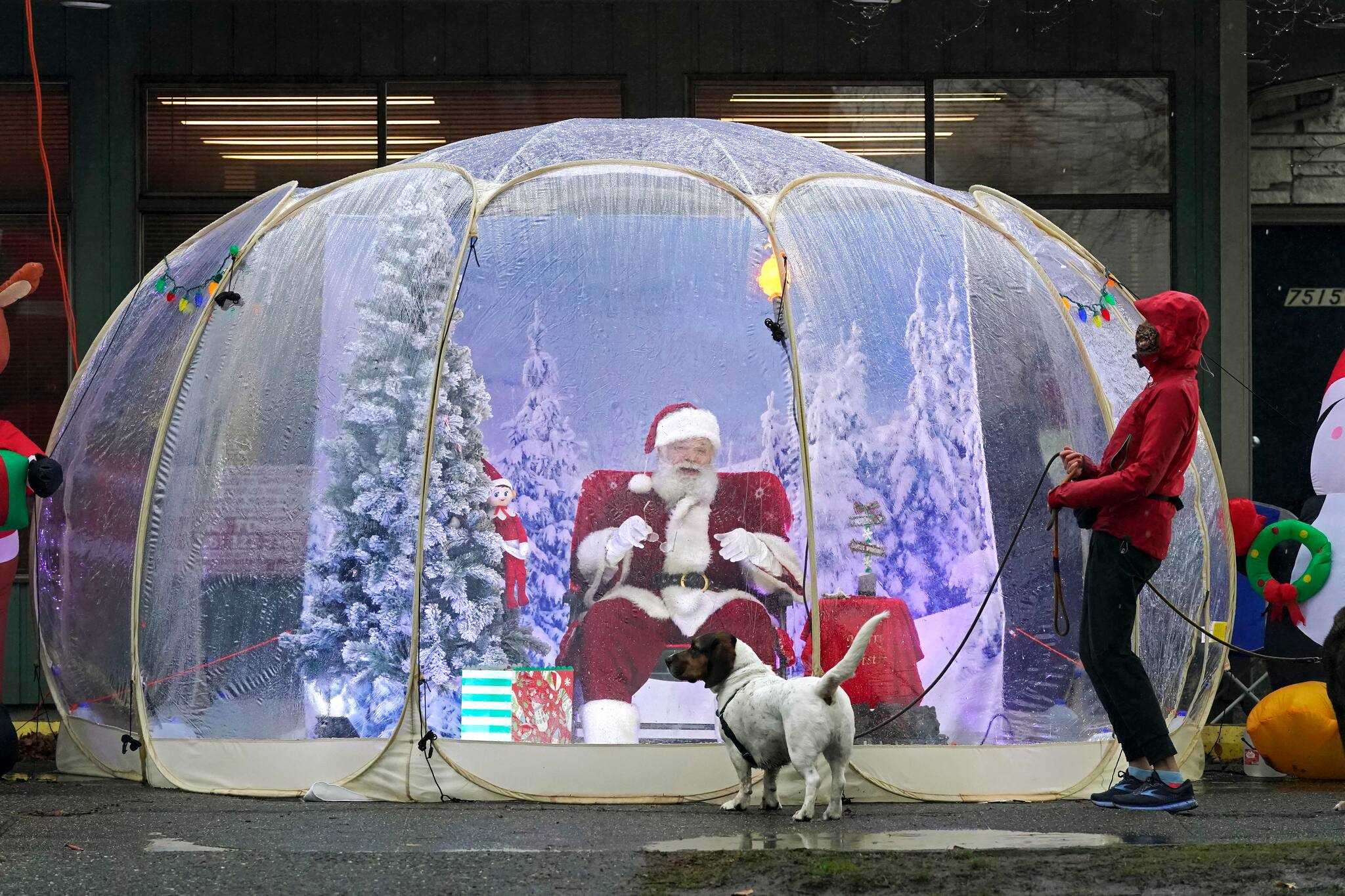 Santa, portrayed by Dan Kemmis, laughs as he talks to Kristin Laidre as she walks her dog, Scooby, a Bassett Hound mix, as he sits inside a protective bubble in Seattle's Greenwood neighborhood on Dec. 8, 2020. Kemmis has been Santa in past years, but he started his daily appearances early this year and added his &quot;snow globe&quot; tent due to the Coronavirus pandemic. In this socially distant holiday season, Santa Claus is still coming to towns (and shopping malls) across America but with a few 2020 rules in effect. (AP Photo/Ted S. Warren)
