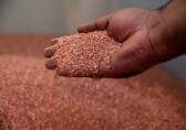 Copper rises to 14-month high as Jerome Powell affirms Fed rate stance