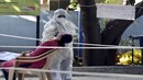 Coronavirus pandemic LIVE updates