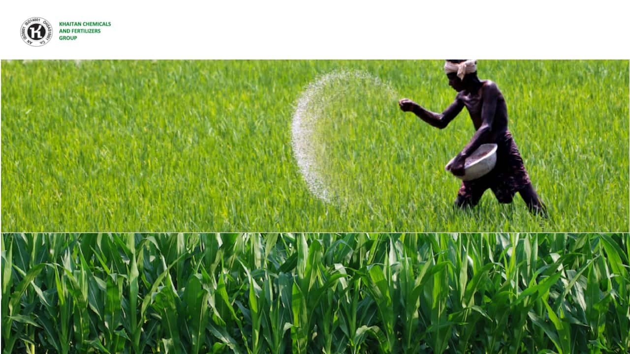 Agrochemical industry: Despite near-term challenges, 2023 outlook positive