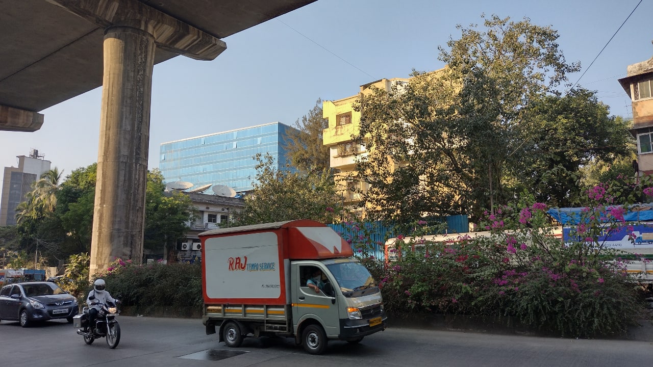 The camera features up to 8x digital zoom, which I thought would result in a blurry mess. 