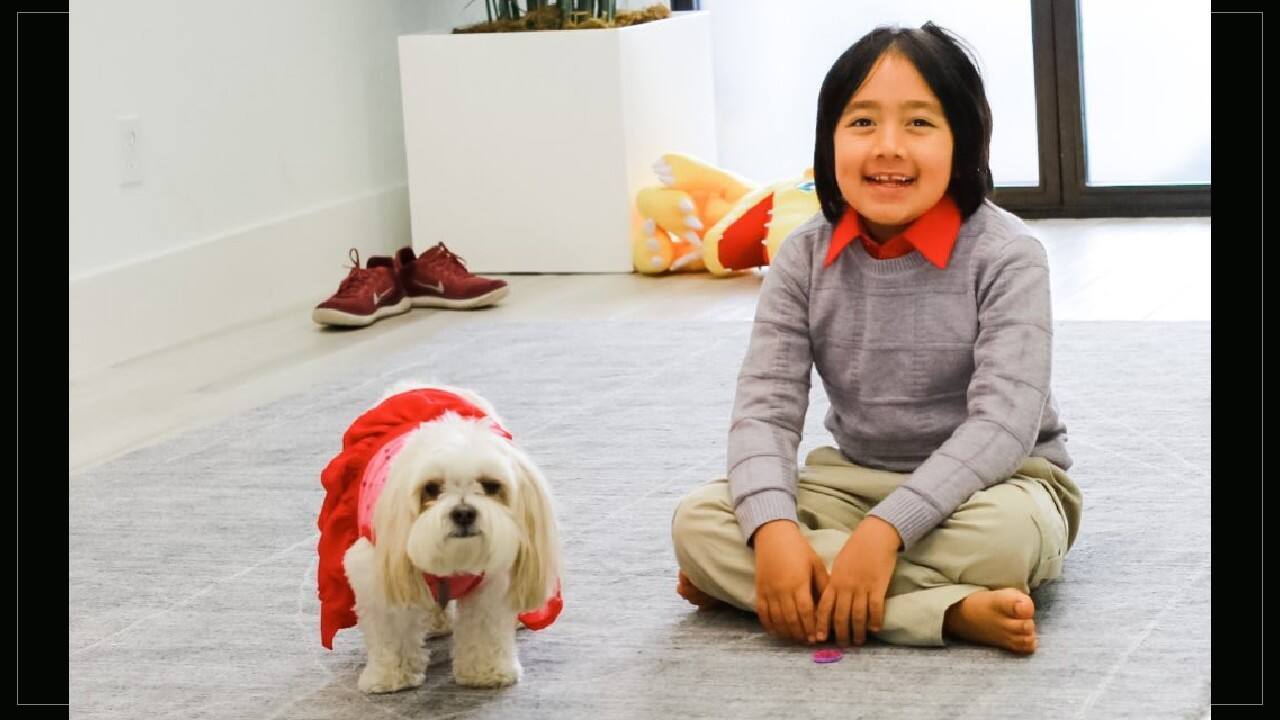 Rank 1 | Ryan Kaji | Earning: $29.5 million | Views: 12.2 billion | Subscribers: 41.7 million (Image: Instagram)