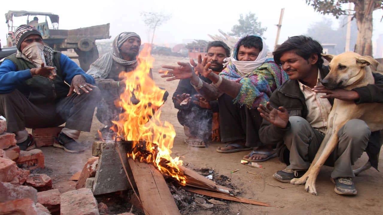 Apart from stubble burning, burning of biomass for warmth is also a source of pollution in northern Indian winters.