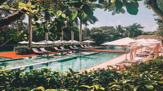 Peak season bookings may beat the COVID-19 gloom in the hotel and travel industry