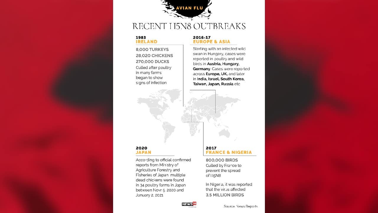 (Image: News18 Creative)