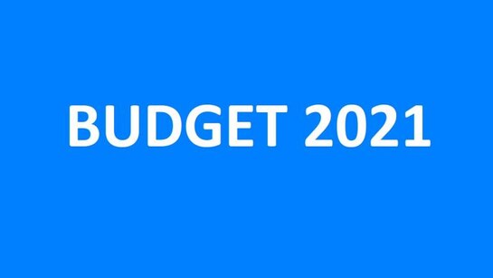 Axis Securities highlights key points for Budget, handpicks 15 pre-Budget picks