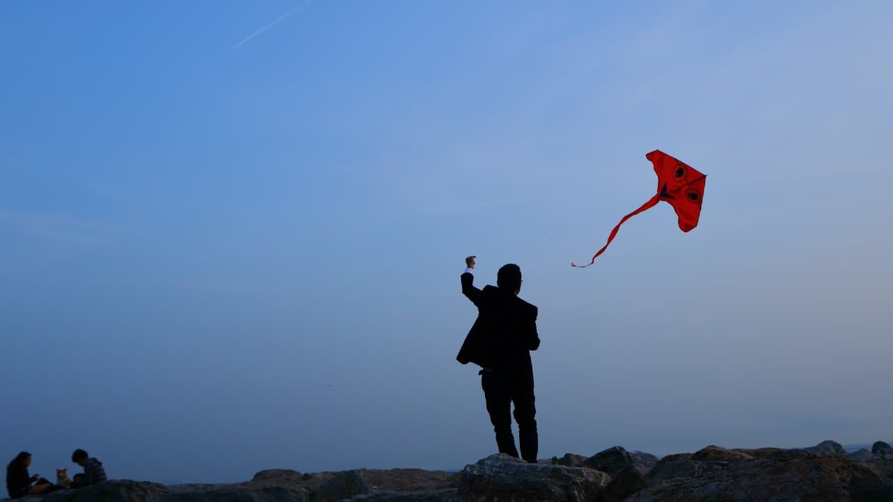 On Sankranti, the role of kites in Ved Mehta’s life On Sankranti, the role of kites in Ved Mehta’s life