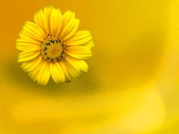 Book Review | Preparing For Death Is A Poignant Work, A Reminder To Accept The Inevitable - Vimarsana News