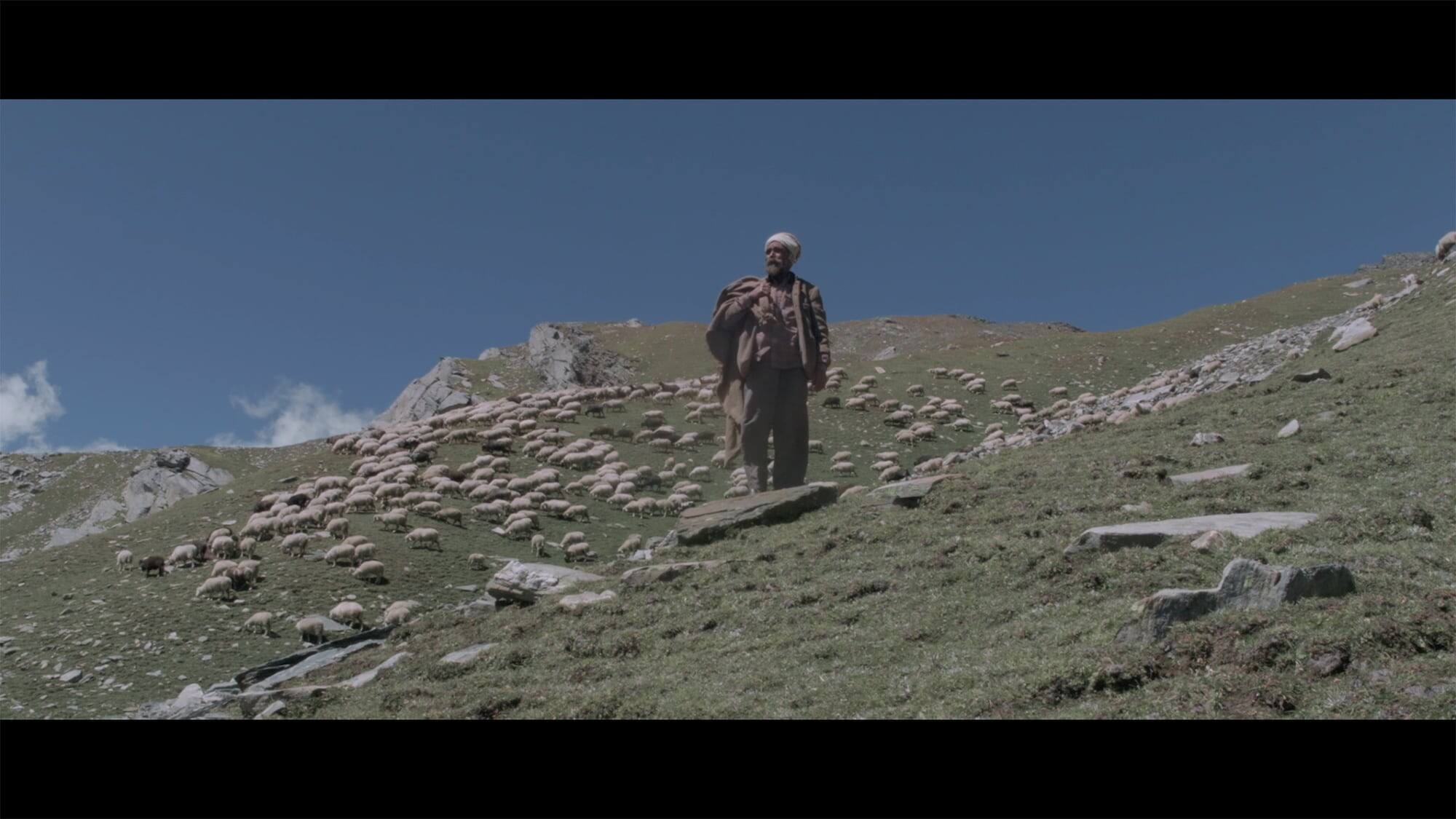 Gaddi language film, The Gold-Laden Sheep & The Sacred Mountain (2018), by Ridham Janve is set in the shepherd community of Himachal Pradesh.