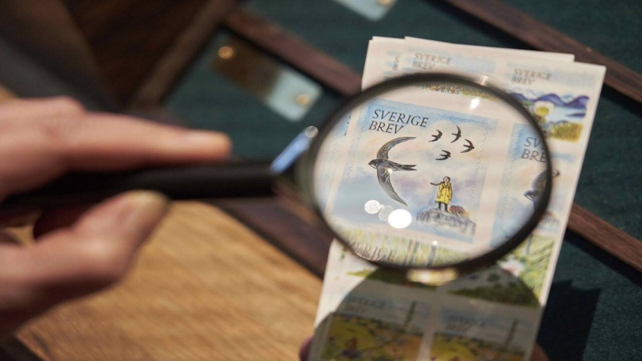  Somalia-based militant group al-Shabaab bans plastic bags and tree...