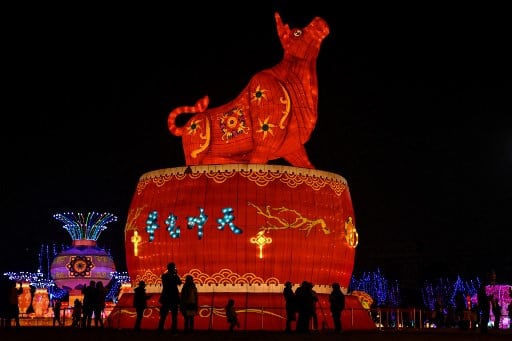 People look at a giant ox lantern in a park in Wuhan in China's central Hubei province on February 11, 2021, ahead of the start of the Lunar New Year, which ushers in the Year of the Ox on February 12. (Photo AFP)