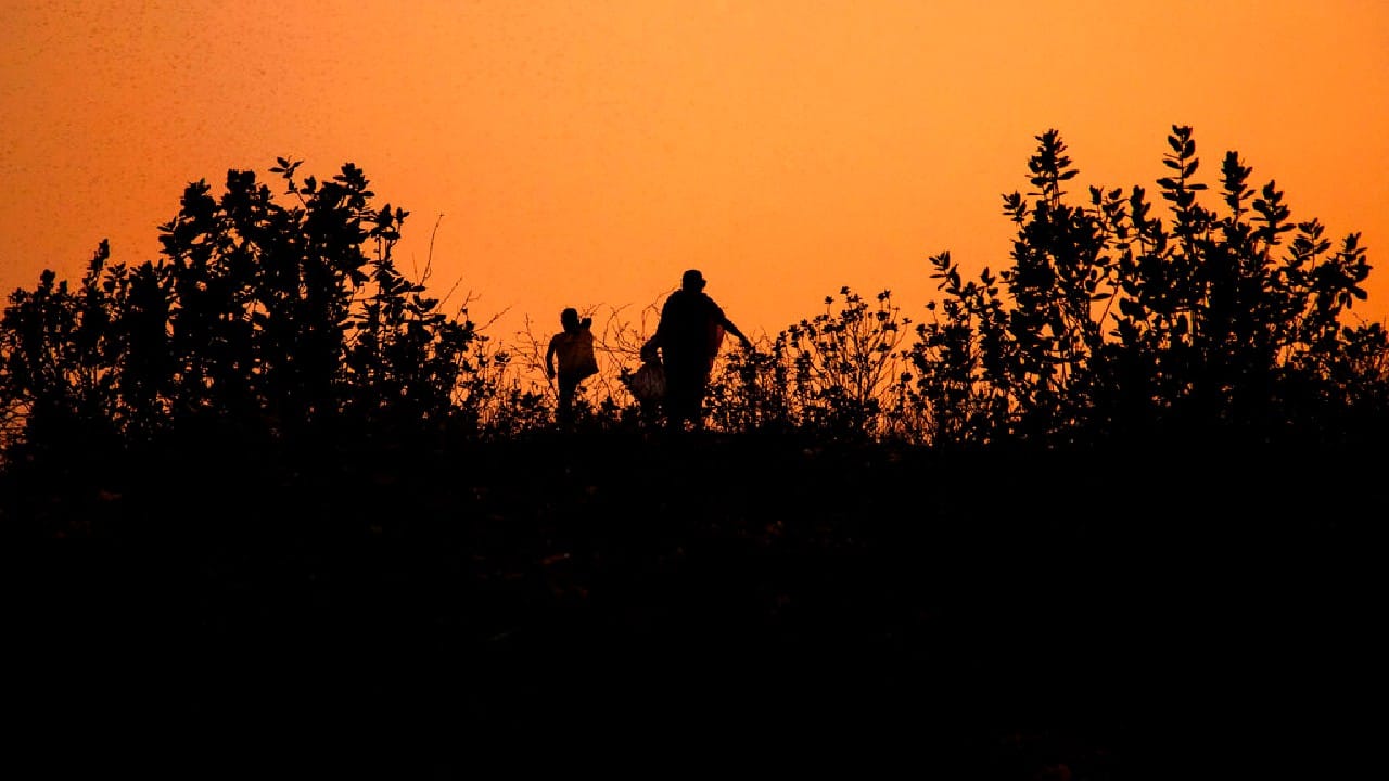 Ali’s father wants his son to continue going to school, hoping he will run his own shop or get a coveted government job when he grows up, putting an end to their suffering. As for Ali, he wants to drive a car and wishes to own one in the future. “I want good food and clothes,” he said. (Image: AP)