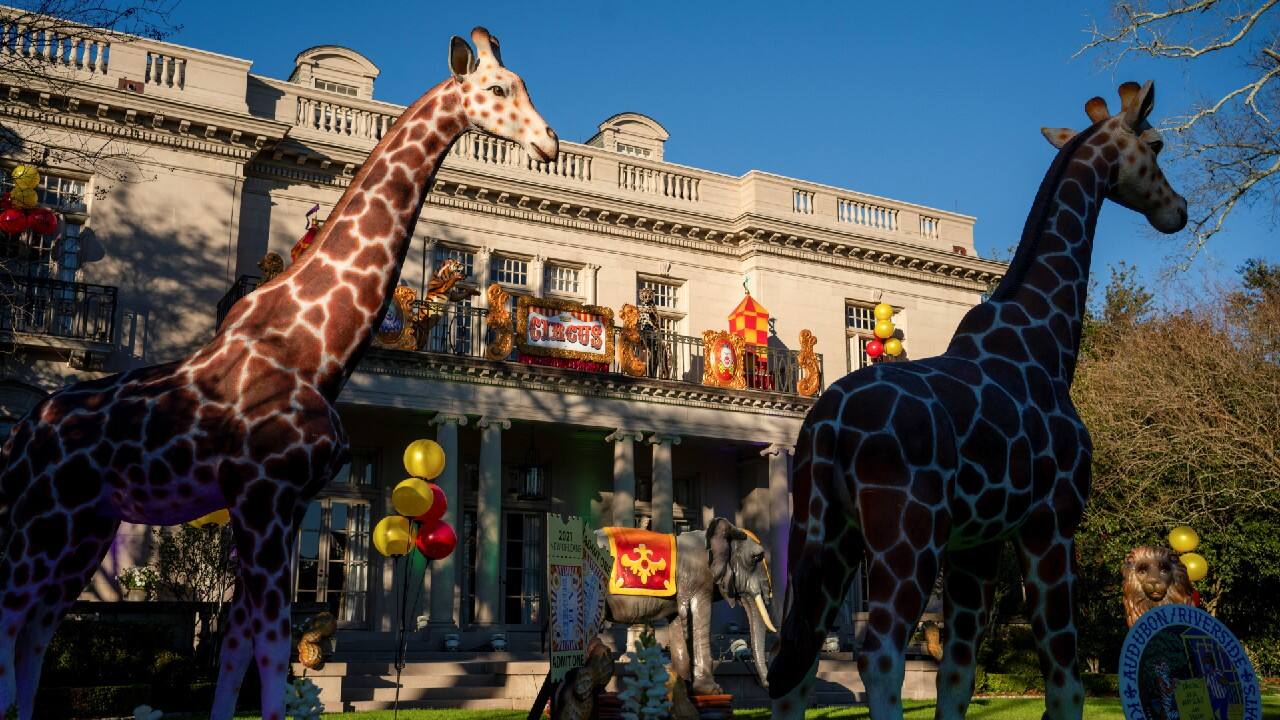 The &quot;Animal House&quot; circus themed house float, located on St. Charles Avenue, is one of thousands decorated in celebration of Mardi Gras in New Orleans, Louisiana, U.S., February 7. (Image: Reuters)