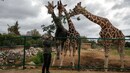 No income and 2,000 mouths to feed: Coronavirus lockdown squeezes Greek zoo