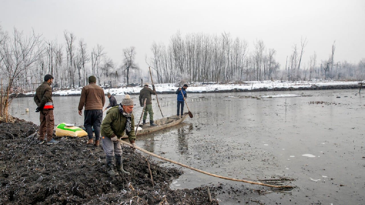 Wildlife official Ghulam Mohiuddin Dar and his colleagues break the ice on a frozen wetland, row their boats and spread grain to feed migratory birds in Kashmir. (Image: AP)