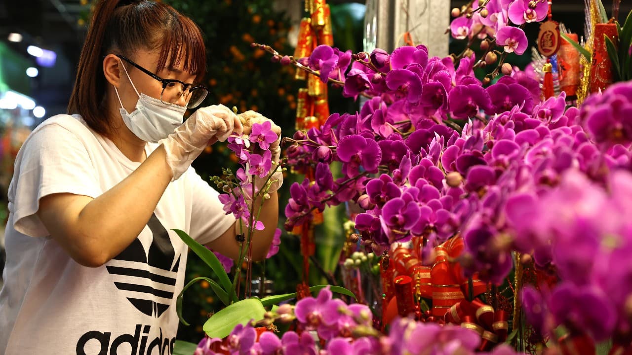 A woman wears a protective mask to prevent the spread of coronavirus disease (COVID-19) while working at her shop ahead of Lunar new year at a flower market in Taipei, Taiwan, February 8. (Image: Reuters)