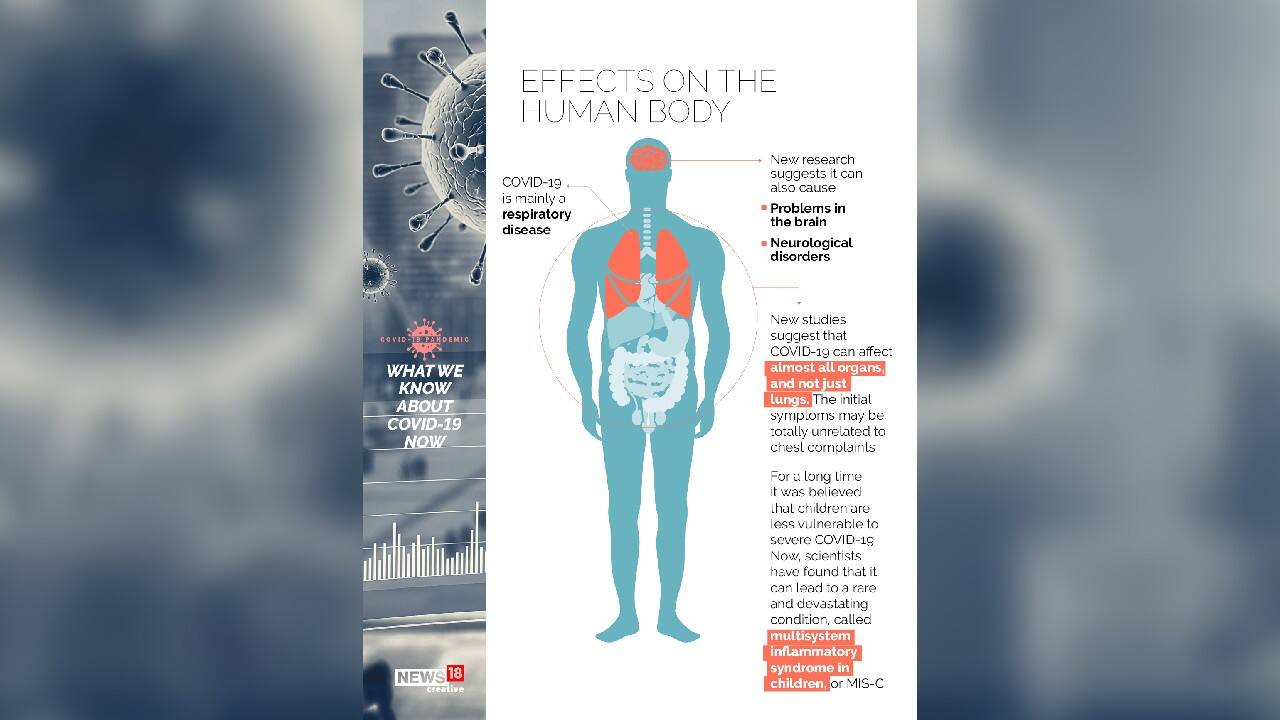 (Image: News18 Creative)