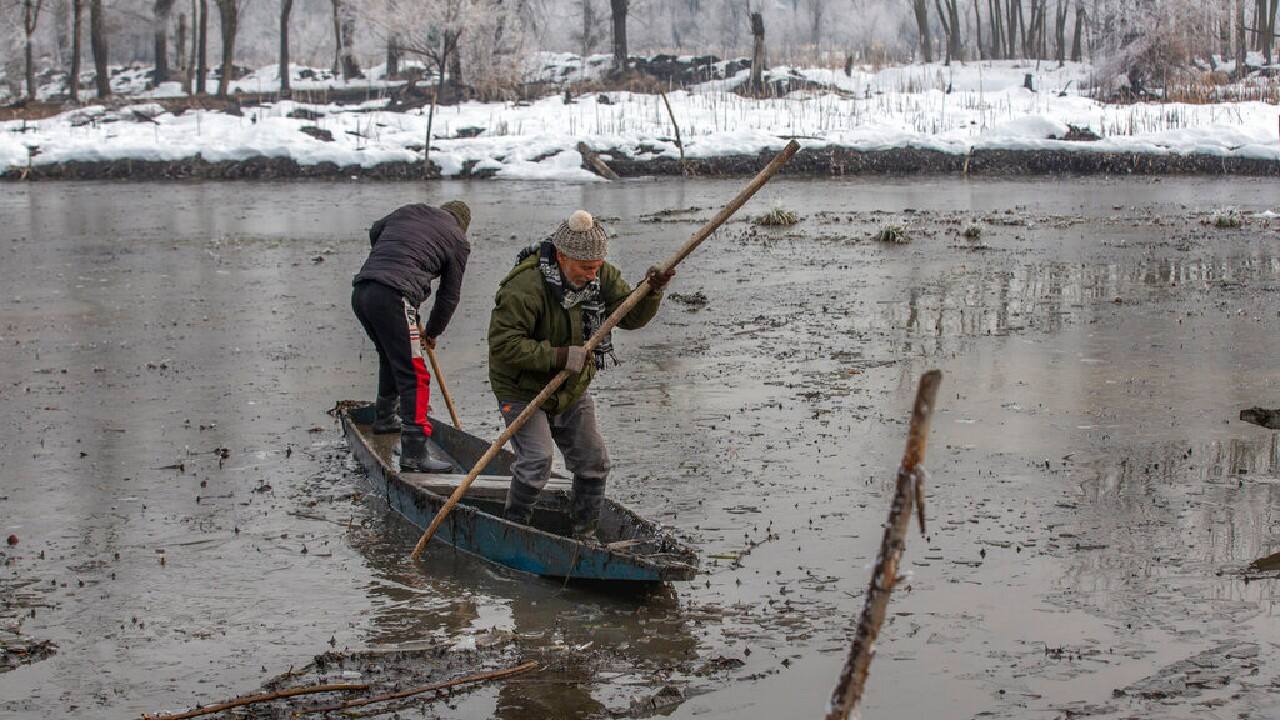 According to a recent study by the University of Kashmir, the Hokersar wetland shrank from nearly 19 square kilometers (7 square miles) in 1969 to 12.8 square kilometers (5 square miles) today. (Image: AP)