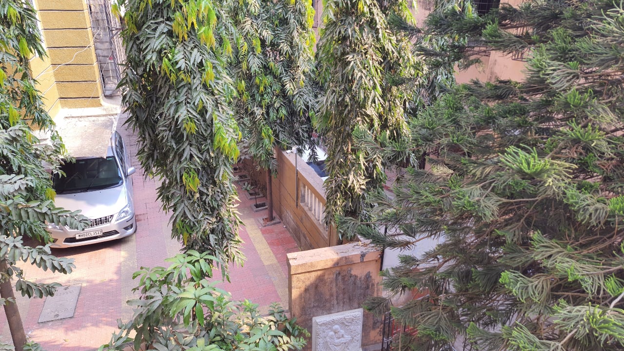 You can also take photos in full 64 MP resolution to retain more details in the shot.