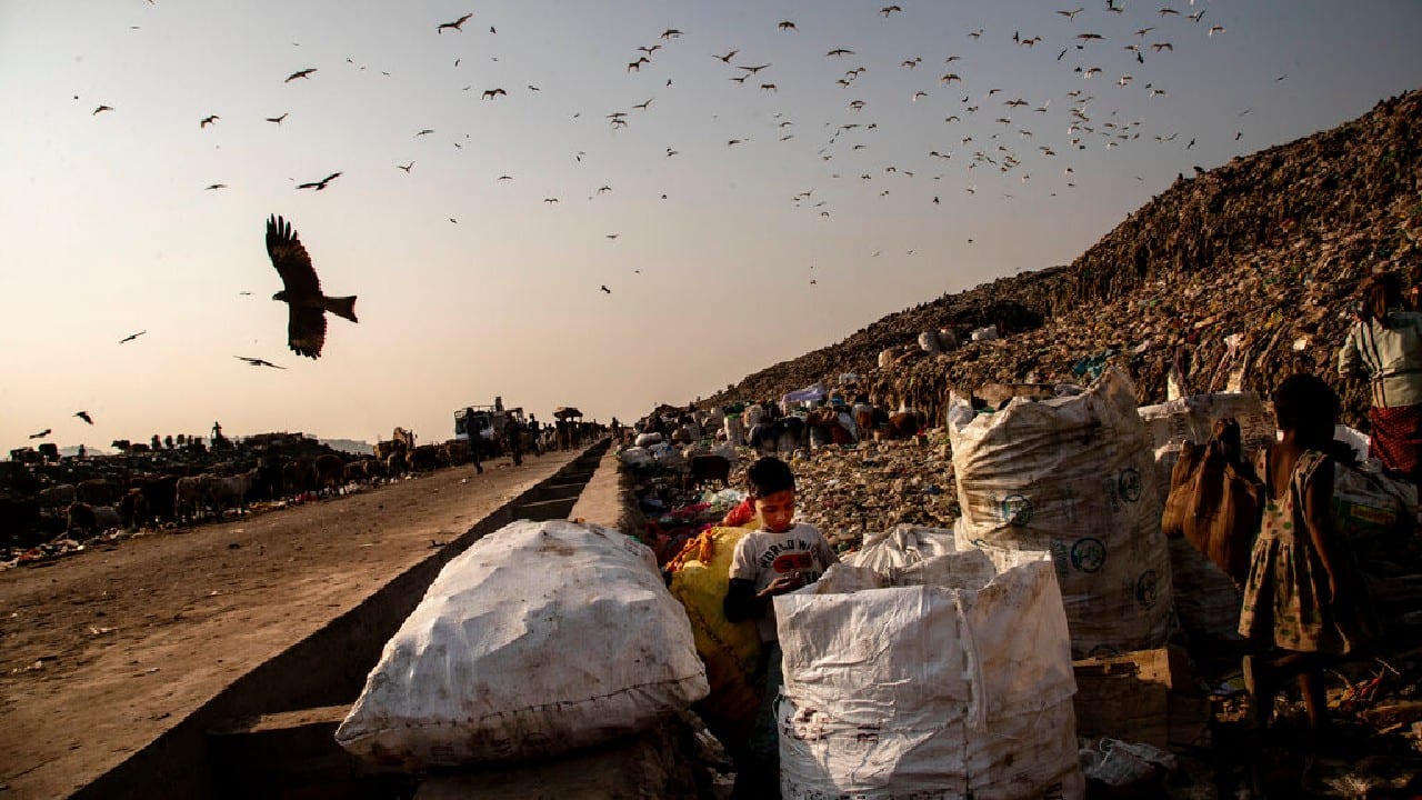 Ali comes from a family of scavengers, or “rag pickers” — his father, mother and elder brother all earn their income through it. He started doing it over a year ago to help his family make more money. (Image: AP)