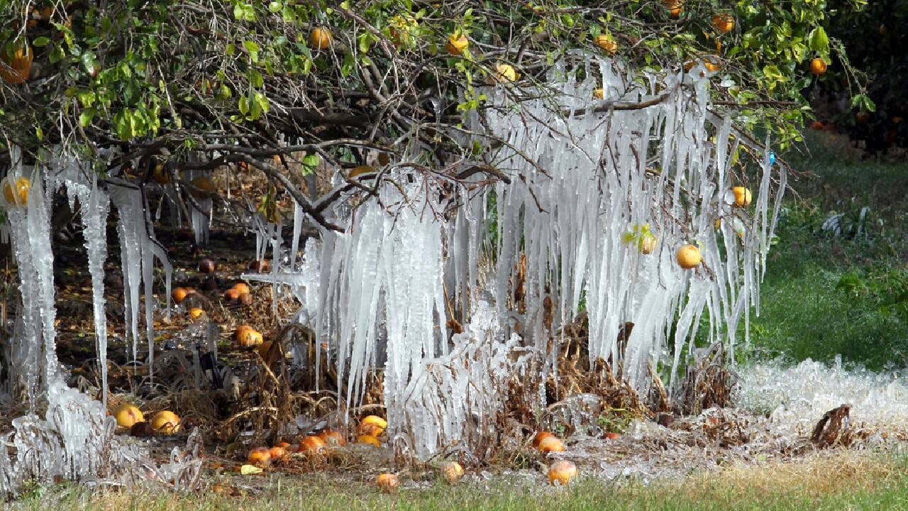 Several cities in the U.S. saw record lows as Arctic air remained over the central part of the country. In Minnesota, the Hibbing/Chisholm weather station registered minus 38 degrees Fahrenheit (minus 39 degrees Celsius), while Sioux Falls, South Dakota, dropped to minus 26 Fahrenheit (minus 26 degrees Celsius). (Image: AP)