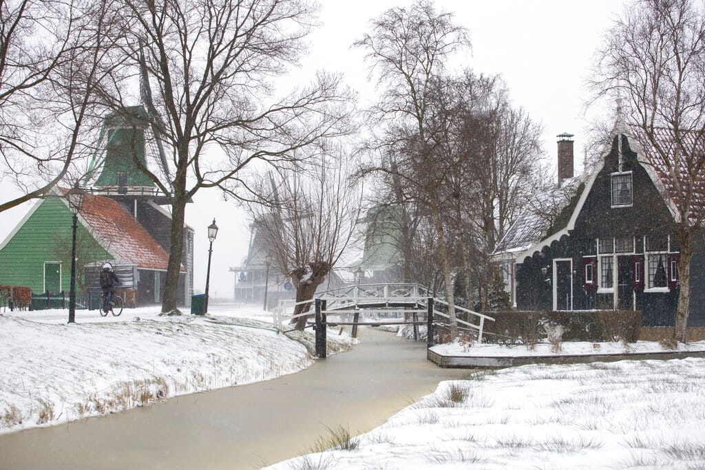 A bicyclist passes windmills of the open air Zaans Museum in Zaandam, as snow and strong winds pounded The Netherlands on February 7 (AP Photo/Peter Dejong)