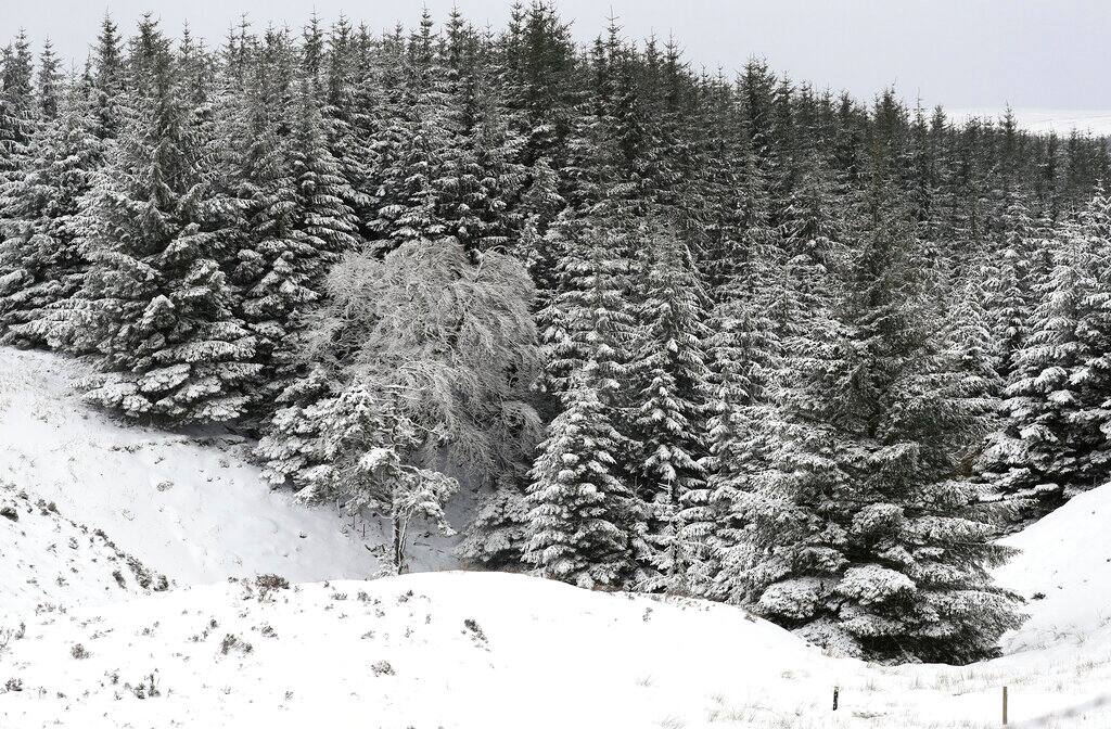 The snow covered landscape at Allenheads, England, Sunday, Feb. 7, 2021. Snow has swept across the region Sunday, with further snowfall predicted to impact on the country bringing travel problems as temperatures drop. (AP Photo/Scott Heppell)