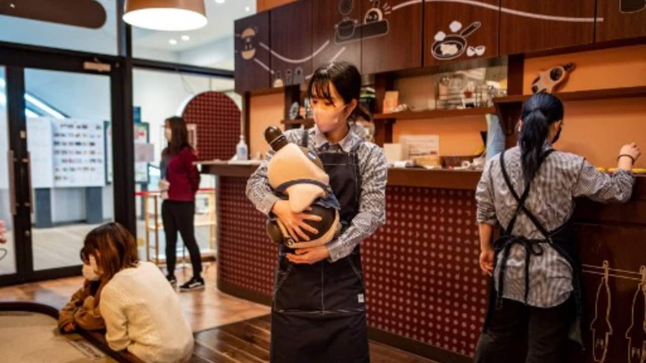 A single Lovot costs around $2,800, plus fees for maintenance and software - but those without deep pockets can visit the Lovot Cafe near Tokyo instead.