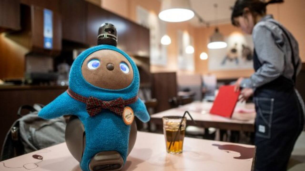 Lovot, a robot the size of a small toddler, with big round eyes and penguin-like wings that flutter up and down. (PC-Philip FONG/AFP)