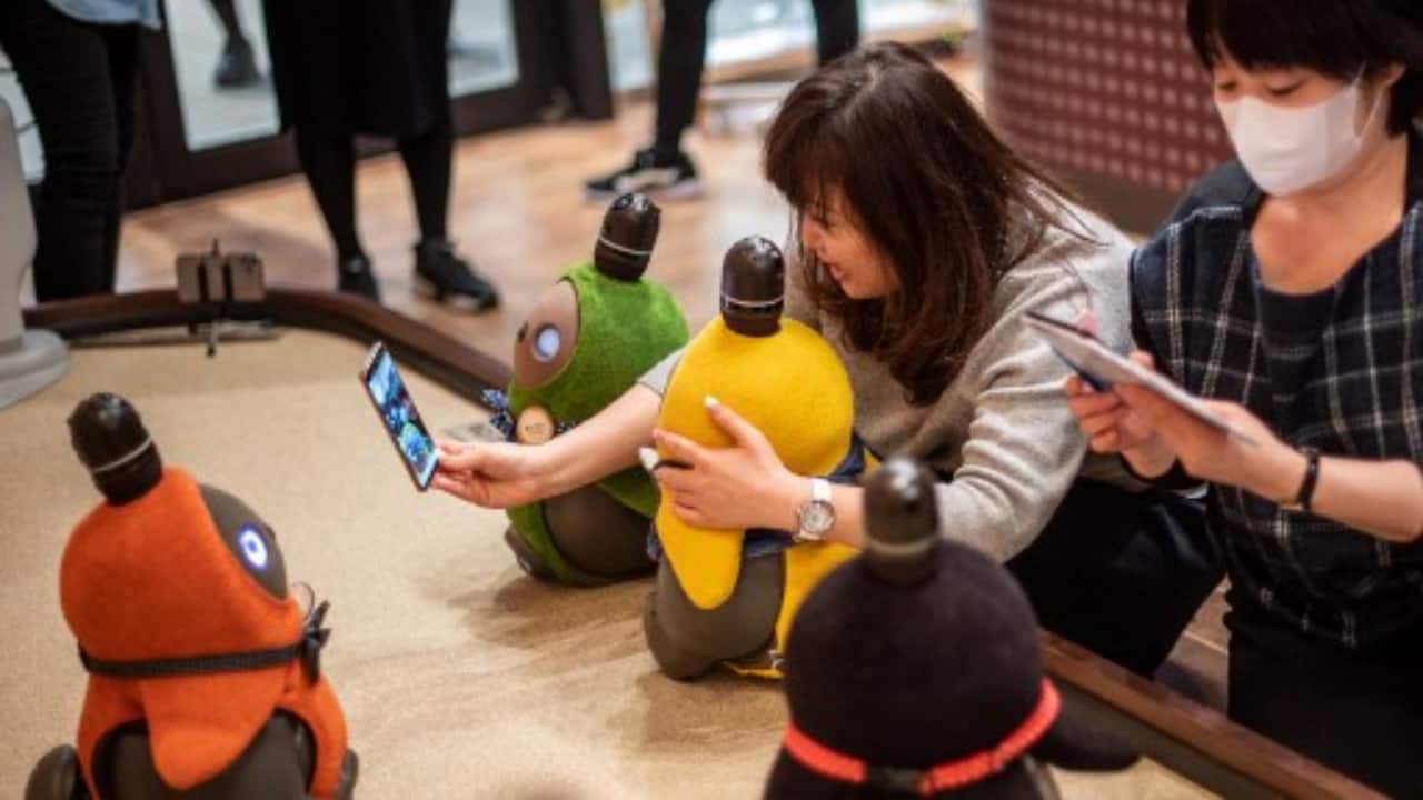 Studies show that therapeutic robot pets designed in Japan, such as fluffy mechanical seals, can bring comfort to dementia patients. This picture shows diners interacting with robots Lovot in a cafe in Kawasaki. (PC-Philip FONG/AFP)