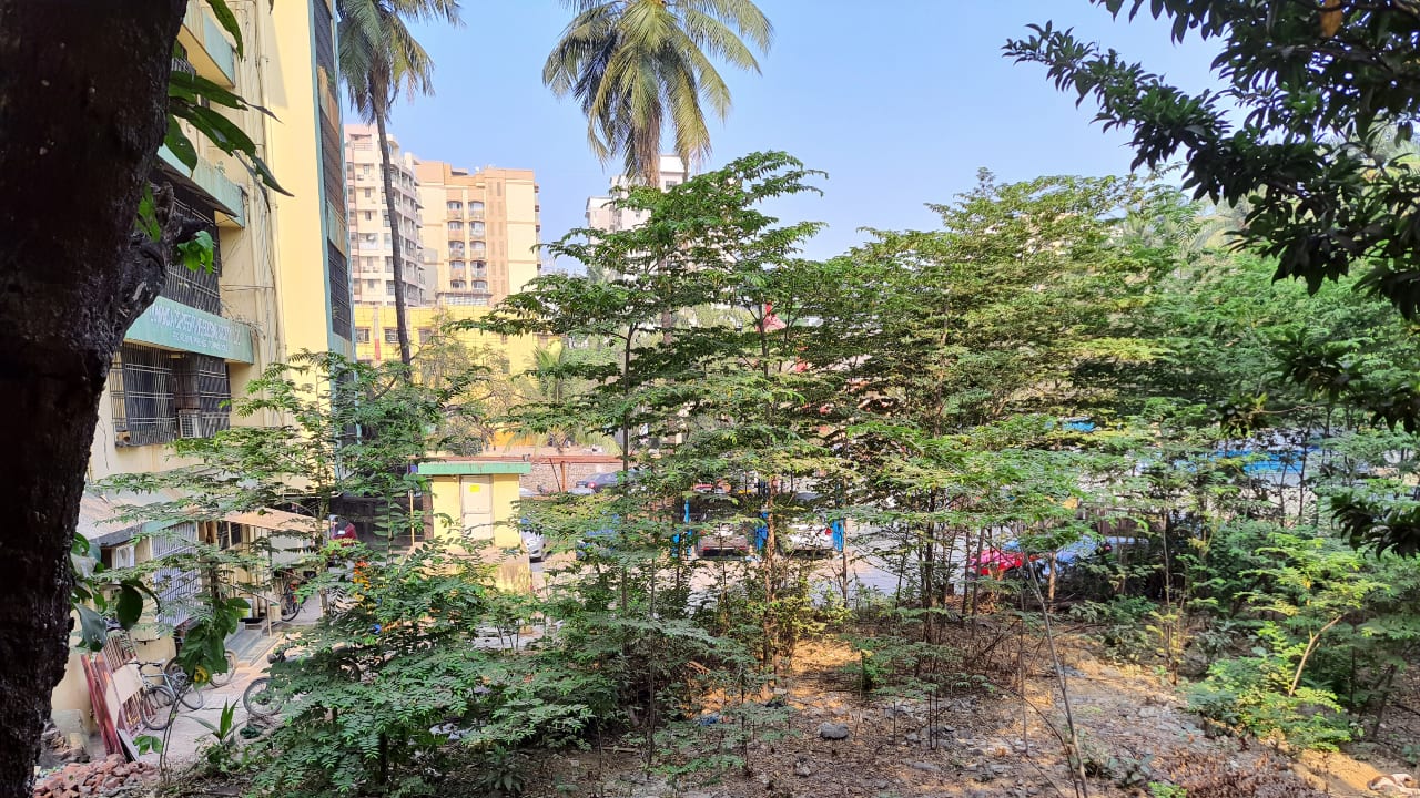 Photos taken on the main camera look pretty good in daylight. 