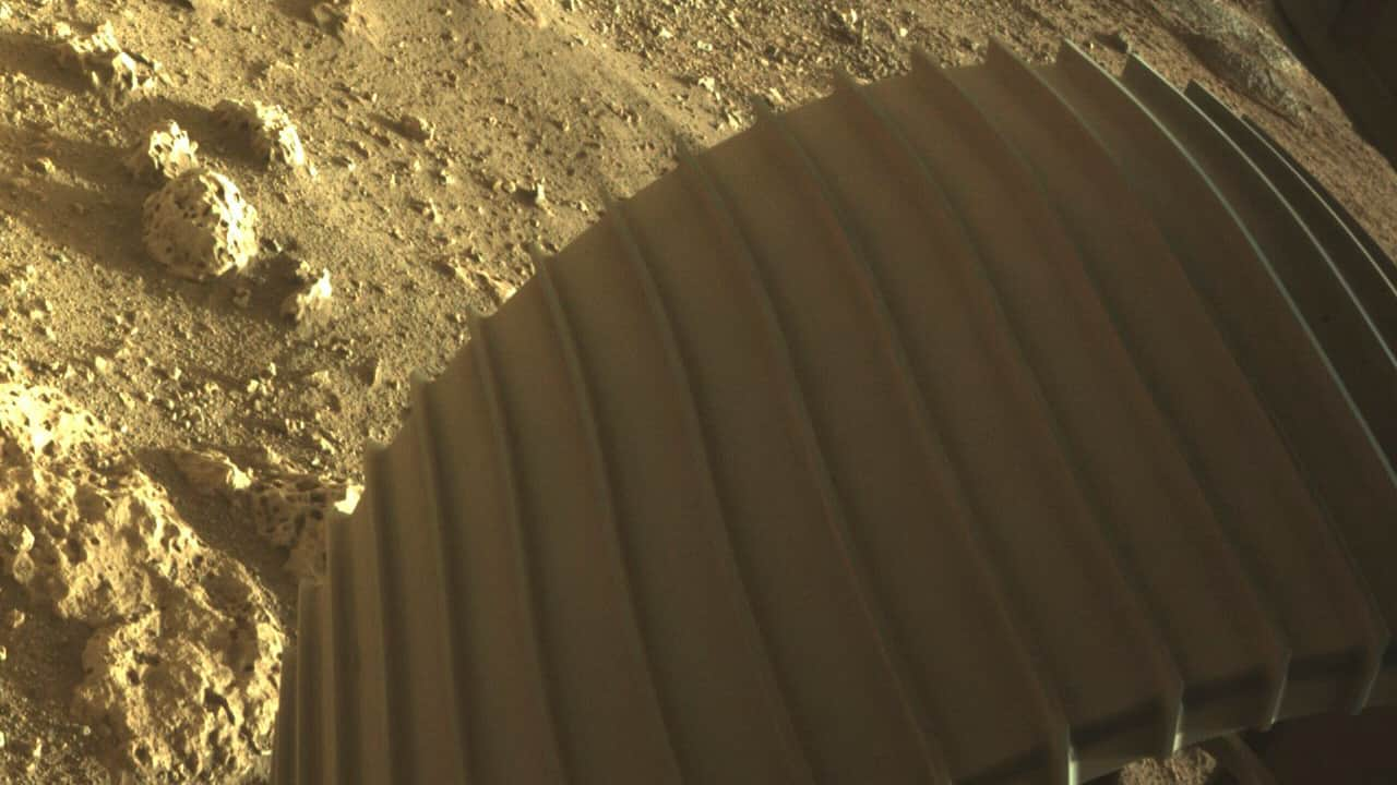 NASA Perseverance rover landing: Stunning images of touchdown on Mars