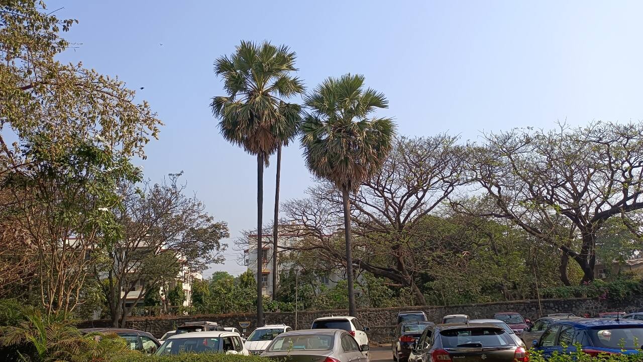 We will take an in-depth at camera performance in our full review of the Realme X7. For now, I’d conclude by saying that the camera on this phone is not great but tends to get the job done and is well above average for the price. 