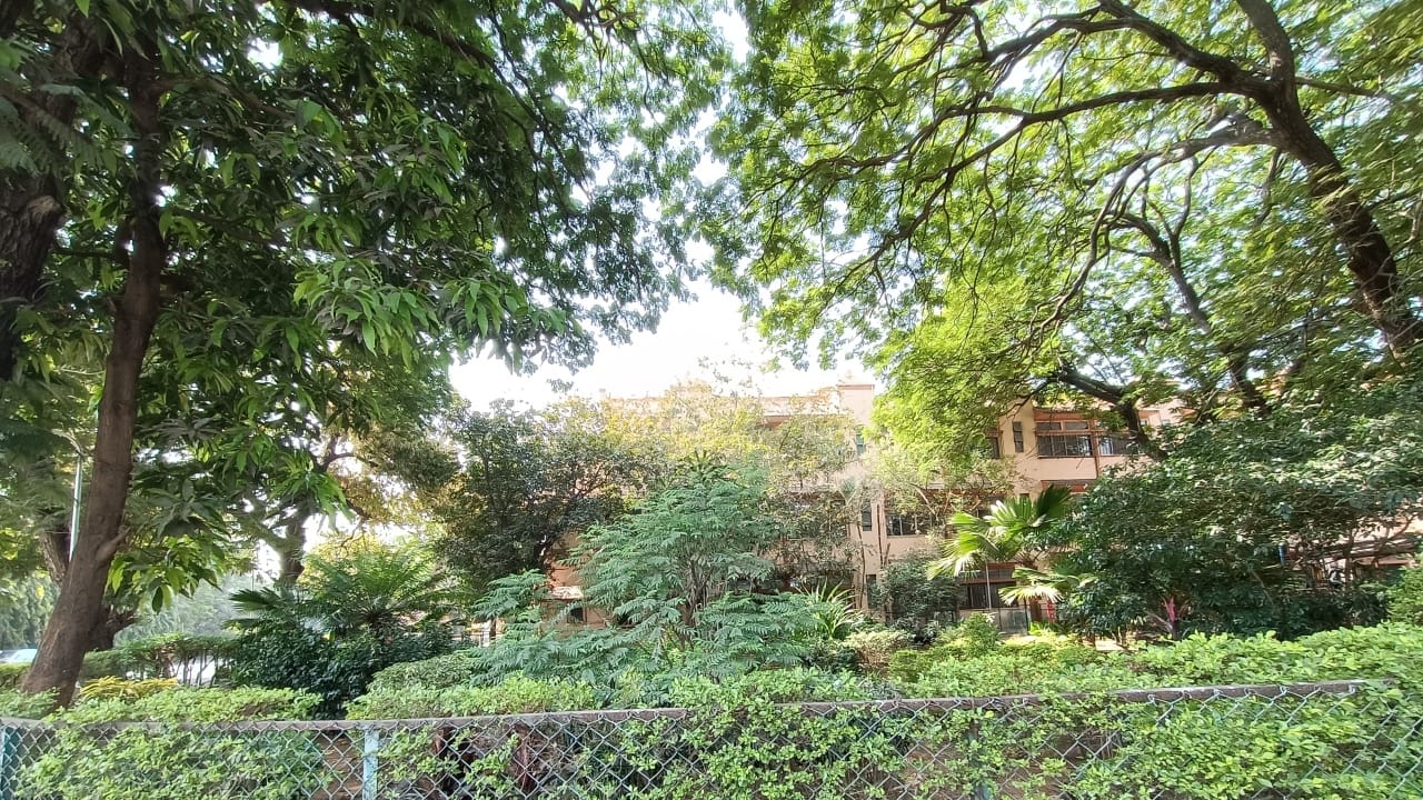 As with the Realme X7 Pro, the ultrawide camera here is pretty unimpressive. Results are passable in good outdoor light but tend to suffer indoors or in low light. 