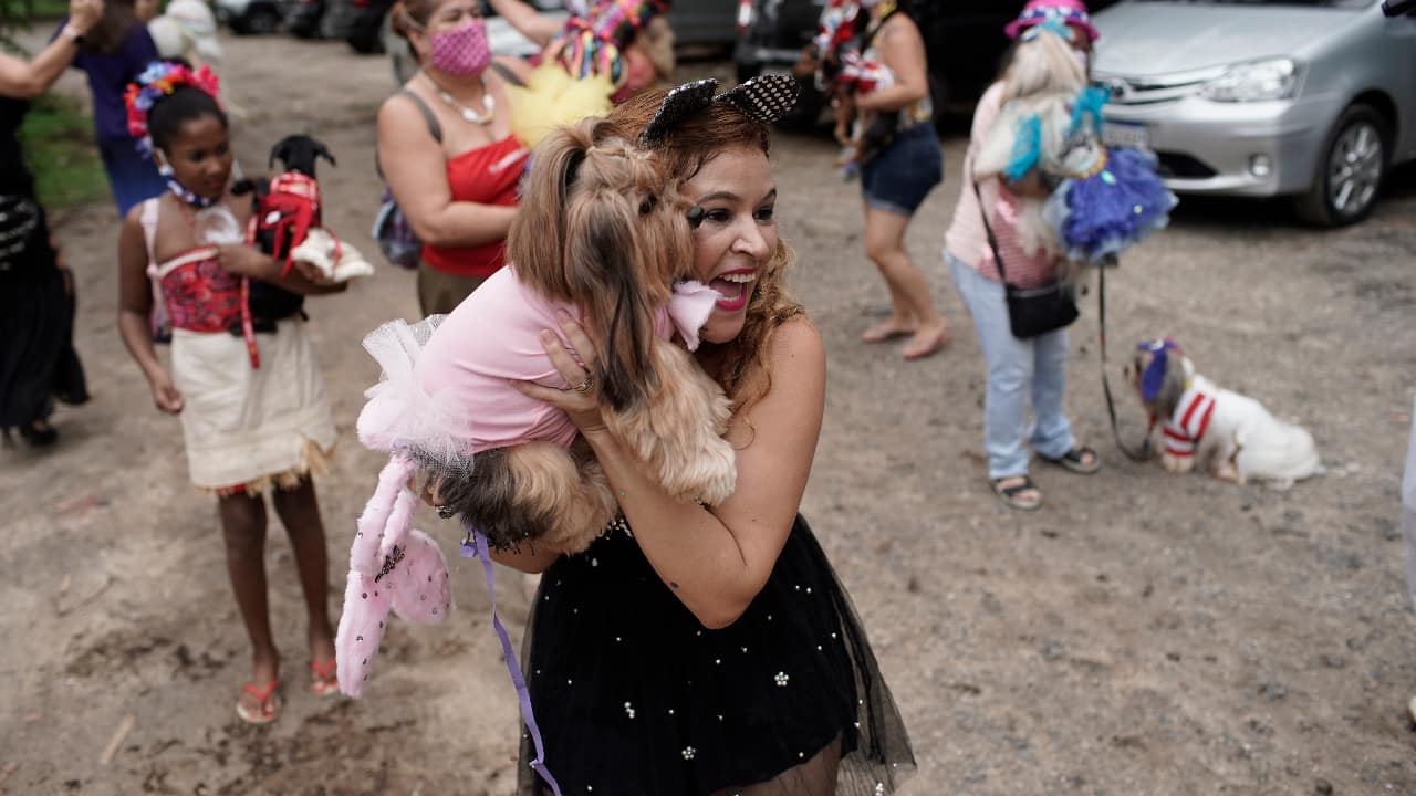 Rio De Janeiro Carnival Cancelled For Humans Amid Covid 19 Dogs Steal The Show