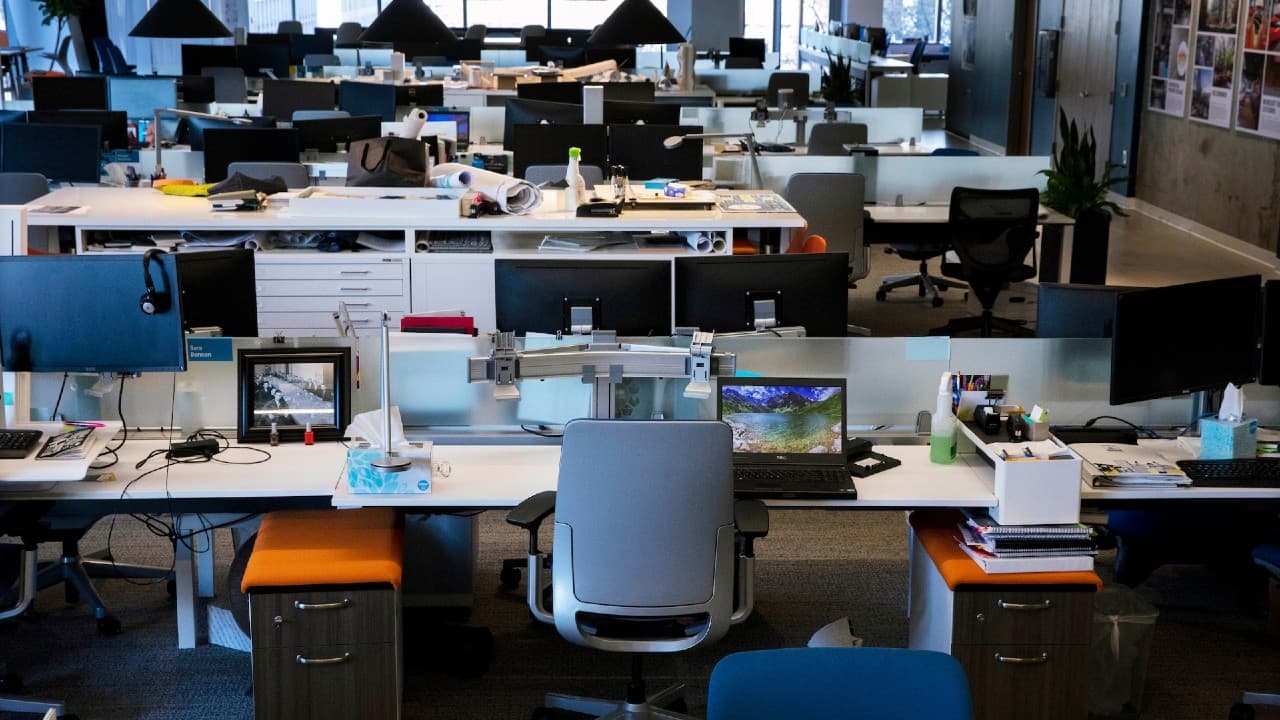 More than 44% India-based software developers may call it quits this year: Report