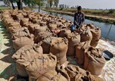 Govt lifts curb on non-basmati white rice exports, removes floor price
