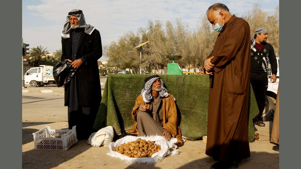 This year, scarcity has pushed up prices and truffles that don’t sell locally are exported to wealthier Gulf countries. But customers at Samawa’s “Beit al-Hatab” restaurant relish its weekly truffle speciality. “We fry or grill them, but the favourite dish is truffles on rice,” said restaurant owner Fawwaz Hatab. (Image: Reuters)