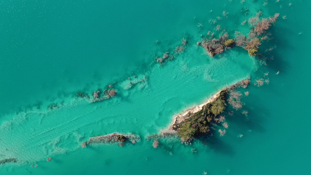 An aerial view shows rotten trees in a toxic lake near southwestern town of Yatagan in Mugla province, Turkey, February 24, 2021. The toxic lake, known as an ash dam, is created by a mix of waste water and polluted ash which are both produced at the nearby Yatagan power station, according to environmental activist Deniz Gumusel. The lake contains heavy metals such as selenium, cadmium, boron, nickel, copper and zinc that are leaking into the earth and groundwater of the Yatagan Plain, an agricultural plain that feeds both Yatagan and Mugla towns. It is one of 15 ash dams in Turkey, which environmental organizations are trying to tackle, to stop them from causing further damage to nature. (Image: Reuters)