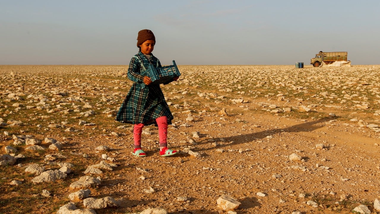Learning to hunt for truffles these days also involves understanding the desert’s dangers. “We are afraid of wolves, there are a lot here. And there are mines. A while ago, someone died,” Farhan said. (Image: Reuters)