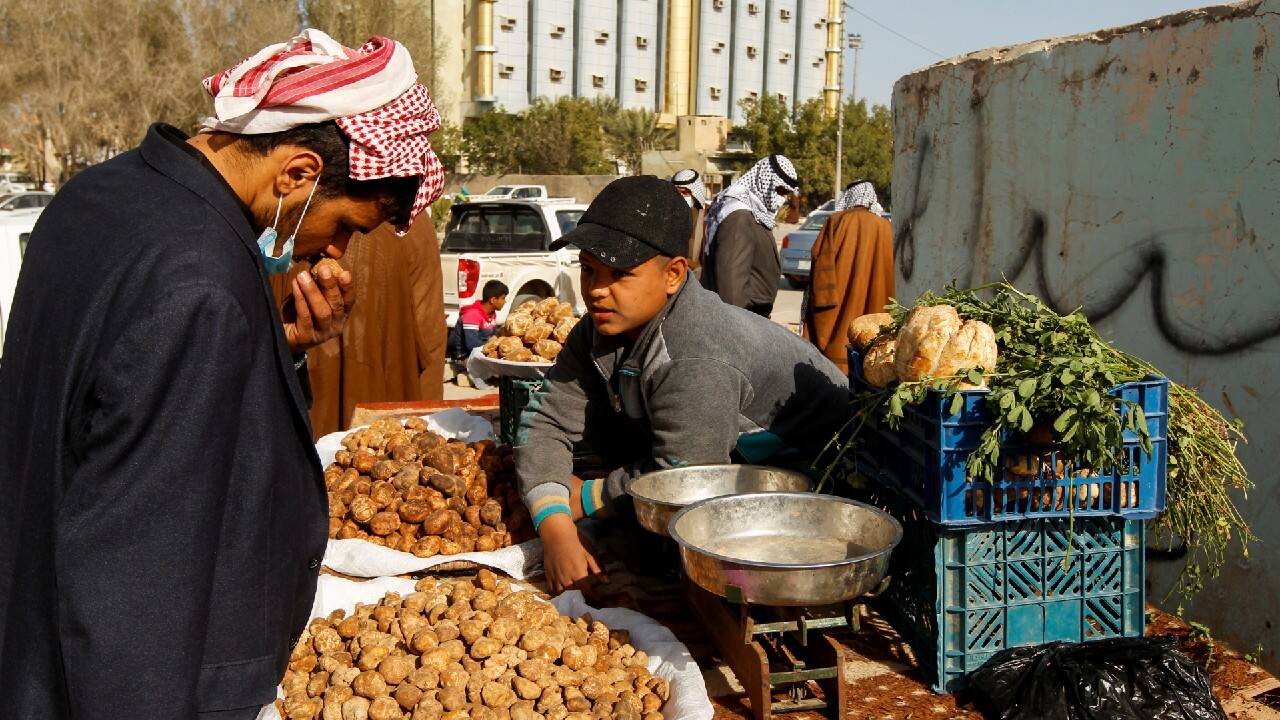 Every few days, Hussein Abu Ali, drives into the desert from the city of Samawa to take the truffles to market. (Image: Reuters)